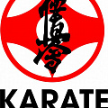 KYOKUSHINKAI KYOKUSHINKAI